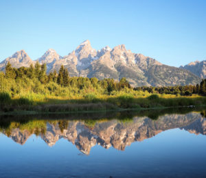 Schwabacher Landing reflection