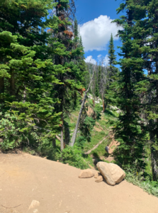 Delta Lake Trail